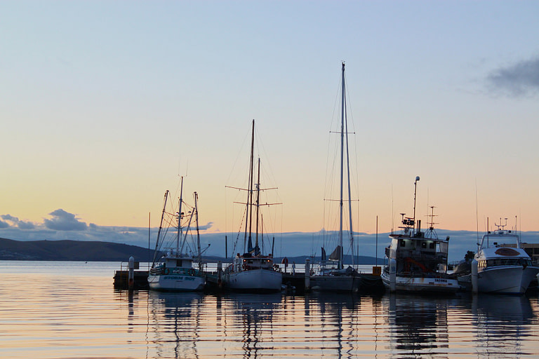Web designer in Hobart